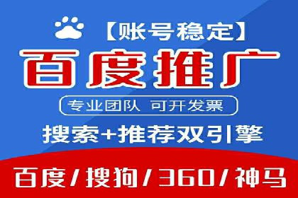 案例分析：SEM广告助力电商行业突破